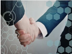 compensi amministratori studio mancini commercialisti